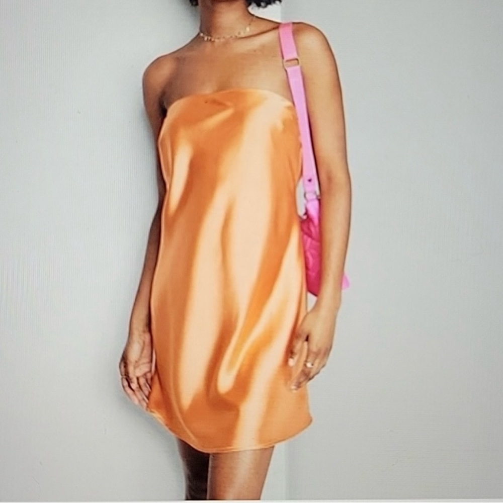 Wild Fable or age, satin, tube dress